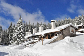  Holiday Village Kochorite  Пампорово